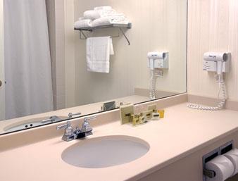 Comfort Inn & Suites Grand Blanc-Flint , MI 48439 near Bishop International Airport View Point 7
