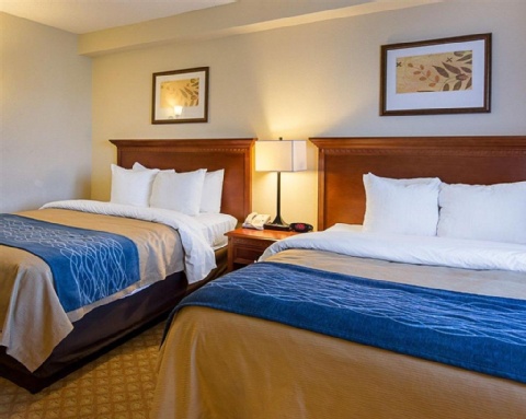 Comfort Inn & Suites Virginia Beach , VA 23455 near Norfolk International Airport View Point 29