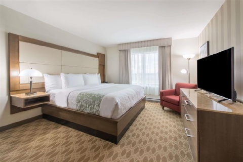 Hotel 11, MOD A Sonesta Collection , AB T3J 0T4 near Calgary International Airport View Point 14