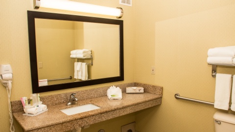 Holiday Inn Express Hotel & Suites Saginaw, an IHG Hotel , MI 48604 near MBS International Airport View Point 25