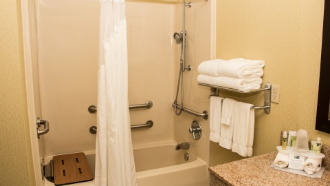 Holiday Inn Express Hotel & Suites Saginaw, an IHG Hotel , MI 48604 near MBS International Airport View Point 29