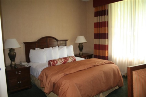 Embassy Suites by Hilton Atlanta Airport , GA 30337 near Hartsfield-jackson Atlanta International Airport View Point 20