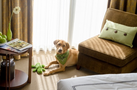 Radisson Blu Vancouver Airport Hotel & Marina Richmond , BC V7B 1C7 near Vancouver International Airport View Point 15