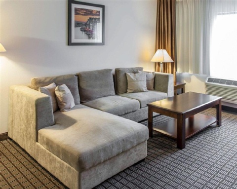 Comfort Inn & Suites BWI Airport , MD 21225 near Baltimore-washington International Thurgood Marshall Airport View Point 27