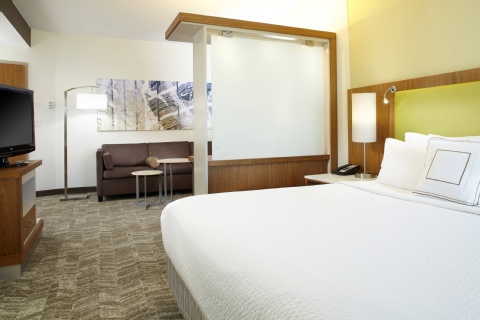 SpringHill Suites by Marriott Houston Intercontinental Airport , TX 77032 near George Bush Intercontinental Airport View Point 19