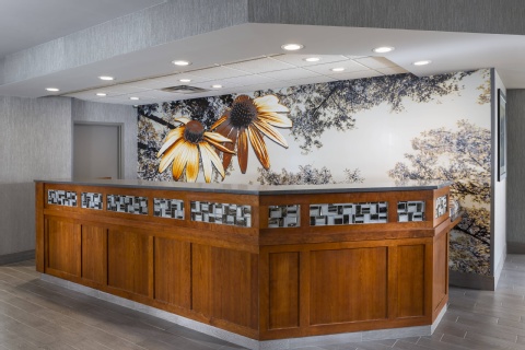Residence Inn by Marriott Bloomington by Mall of America , MN 55425 near Minneapolis-saint Paul International Airport (wold-chamberlain Field) View Point 8