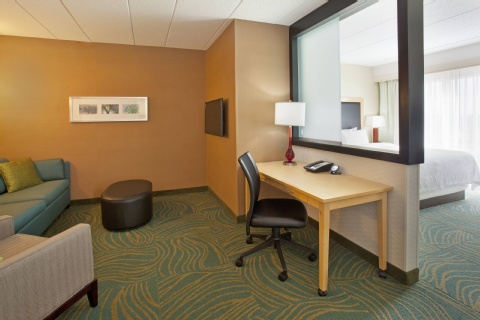 SpringHill Suites by Marriott Minneapolis-St. Paul Airport/Mall of America , MN 55425 near Minneapolis-saint Paul International Airport (wold-chamberlain Field) View Point 21
