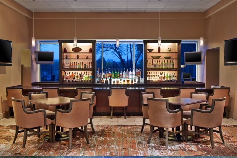Sheraton Suites Chicago Elk Grove , IL 60007 near Ohare International Airport View Point 13