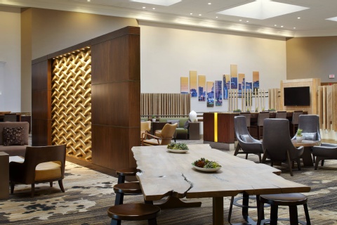 Hartford/Windsor Marriott Airport , CT 06095 near Bradley International Airport View Point 19