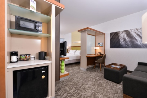 SpringHill Suites by Marriott Irvine John Wayne Airport/Orange County , CA 92614 near John Wayne Airport (orange County Airport) View Point 23