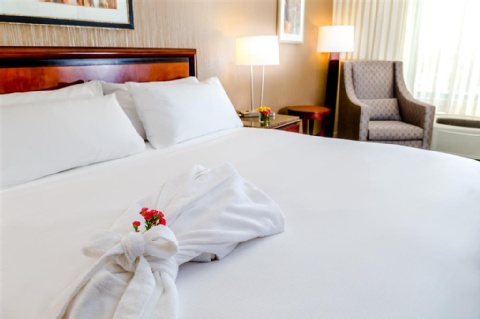 DoubleTree by Hilton Las Vegas Airport , NV 89119 near Mccarran International Airport View Point 16