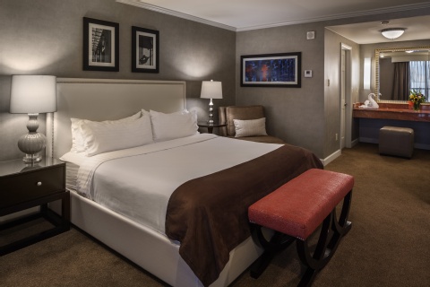 Holiday Inn New Orleans-Downtown Superdome, an IHG Hotel , LA 70112 near Louis Armstrong New Orleans International Airport  View Point 34