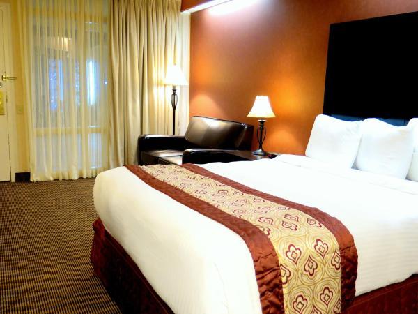 Coast Nisku Inn & Conference Centre , AB  near Edmonton International Airport View Point 3