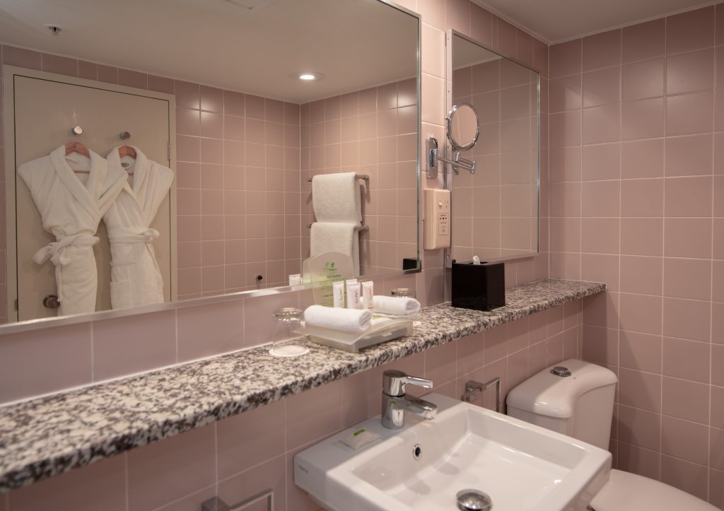 HOLIDAY INN SYDNEY AIRPORT , NS 2020 near Sydney Airport View Point 3