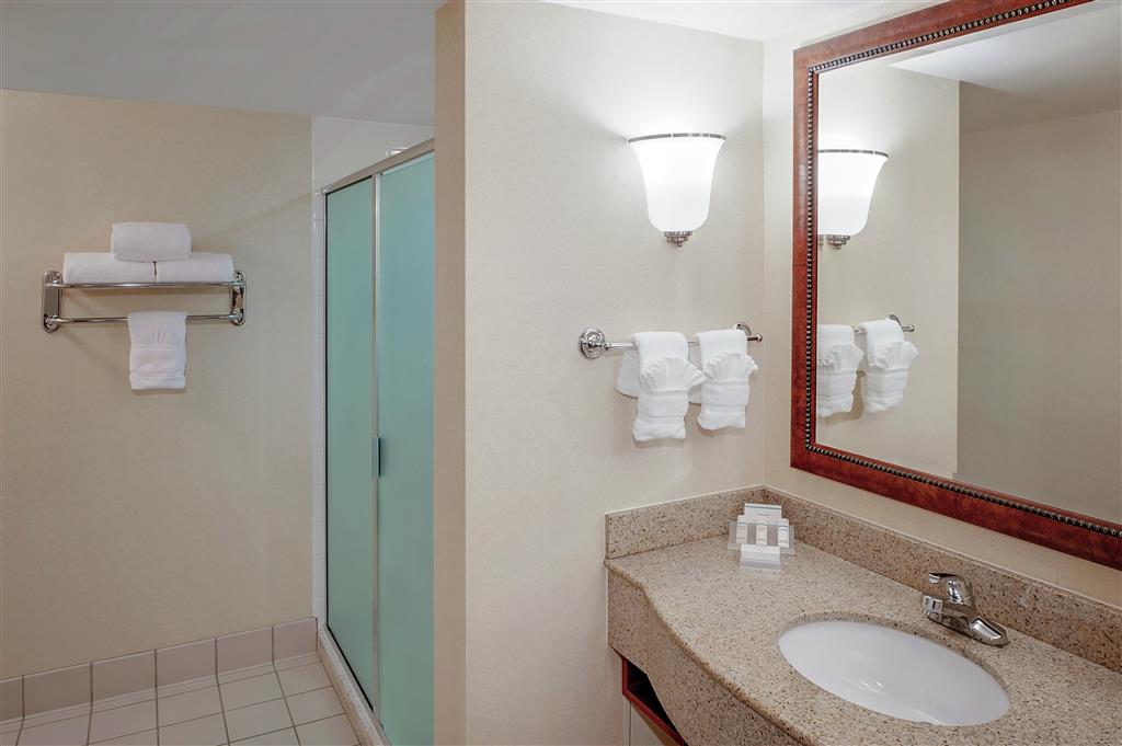 Hilton Garden Inn Chicago O'Hare Airport , IL 60018 near Ohare International Airport View Point 23