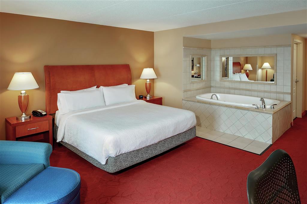 Hilton Garden Inn Chicago O'Hare Airport , IL 60018 near Ohare International Airport View Point 29