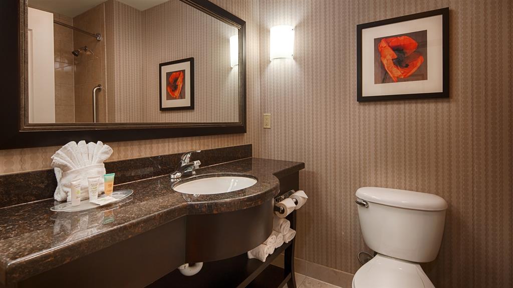 BEST WESTERN PLUS DFW W EULESS , TX 76040 4523 near Dallas-fort Worth International Airport View Point 20