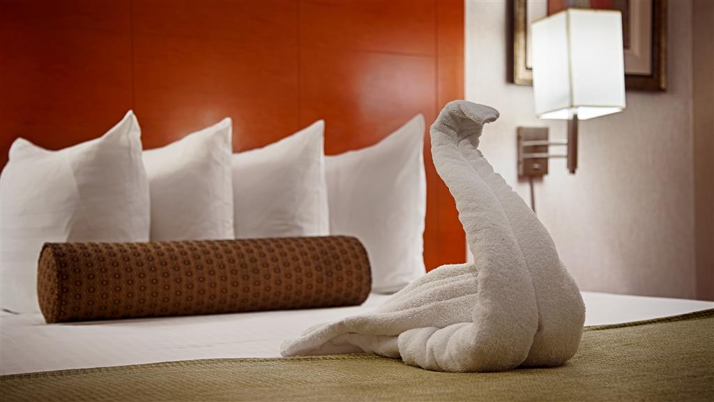 Courtyard by Marriott San Antonio Airport , TX 78217 near San Antonio International Airport View Point 108