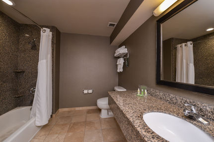Holiday Inn Ontario Airport - California, an IHG Hotel , CA 91764 near Ontario International Airport View Point 3
