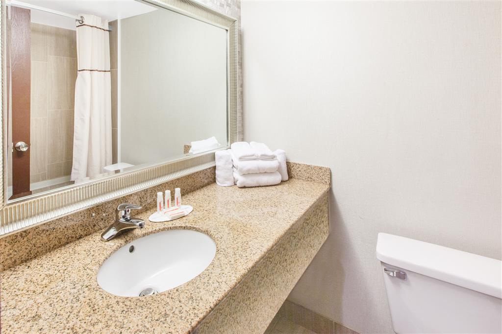 Wingate by Wyndham Detroit Metro Airport , MI 48174 near Detroit Metropolitan Wayne County Airport View Point 32