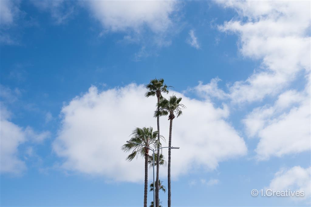 Best Western Plus Bayside Inn , CA 92101 near San Diego International Airport View Point 6