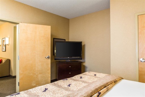 CAMBRIA HOTEL RALEIGH AIRPORT , NC 27560 near Raleigh-durham International Airport View Point 13