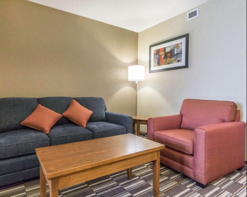 Comfort Inn and Suites Edmonton Internat , AB T9E 0W8 near Edmonton International Airport View Point 17