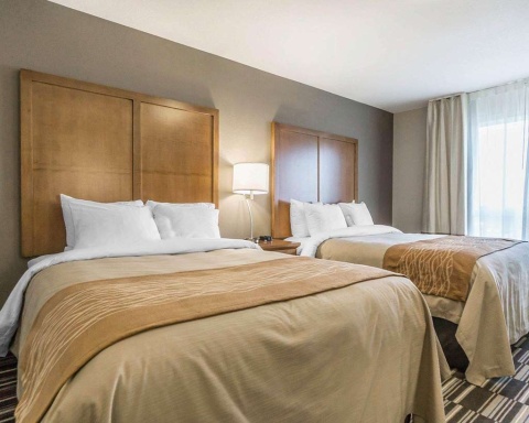 Comfort Inn and Suites Edmonton Internat , AB T9E 0W8 near Edmonton International Airport View Point 21