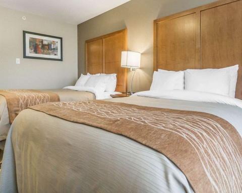 Comfort Inn and Suites Edmonton Internat , AB T9E 0W8 near Edmonton International Airport View Point 20