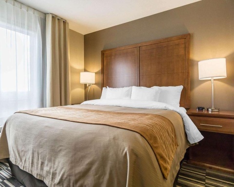 Comfort Inn and Suites Edmonton Internat , AB T9E 0W8 near Edmonton International Airport View Point 24