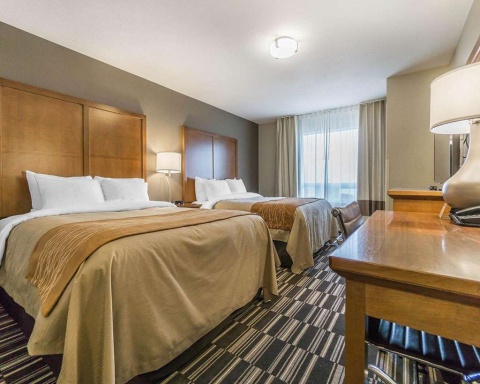 Comfort Inn and Suites Edmonton Internat , AB T9E 0W8 near Edmonton International Airport View Point 19