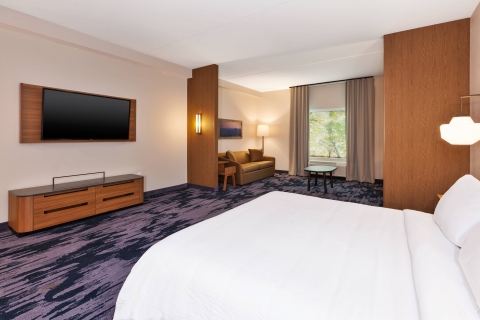 Fairfield by Marriott Inn and Suites Knoxville Airport Alcoa , TN 37701 near Mcghee Tyson Airport View Point 16