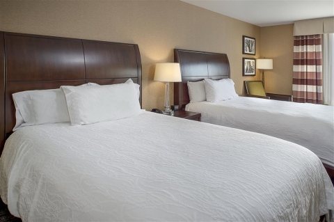 HILTON GARDEN INN ST. LOUIS AIRPORT , MO 63134 near Lambert-saint Louis International Airport View Point 25