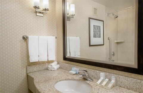 HILTON GARDEN INN ST. LOUIS AIRPORT , MO 63134 near Lambert-saint Louis International Airport View Point 20