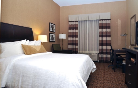 HILTON GARDEN INN ST. LOUIS AIRPORT , MO 63134 near Lambert-saint Louis International Airport View Point 18