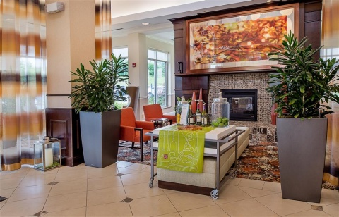 HILTON GARDEN INN ST. LOUIS AIRPORT , MO 63134 near Lambert-saint Louis International Airport View Point 4
