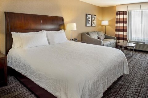 HILTON GARDEN INN ST. LOUIS AIRPORT , MO 63134 near Lambert-saint Louis International Airport View Point 13