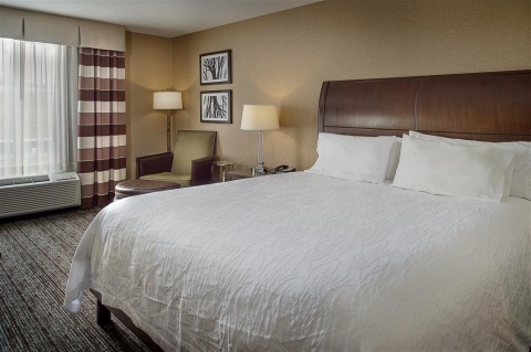 HILTON GARDEN INN ST. LOUIS AIRPORT , MO 63134 near Lambert-saint Louis International Airport View Point 22