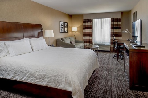 HILTON GARDEN INN ST. LOUIS AIRPORT , MO 63134 near Lambert-saint Louis International Airport View Point 11