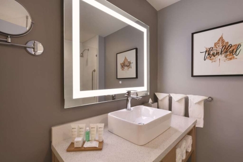 Radisson Hotel Atlanta Airport , GA 30337 near Hartsfield-jackson Atlanta International Airport View Point 19