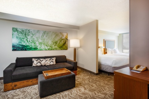 SpringHill Suites by Marriott Miami Airport South-Blue Lagoon Area , FL 33126 near Miami International Airport View Point 19