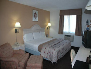 Super 8 - Clearwater/St.Petersburg-Airport , FL 33762 near St. Petersburg-clearwater International Airport View Point 9