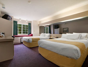 Microtel Inn & Suites By Wyndham BWI Airport Baltimore , MD 21090 near Baltimore-washington International Thurgood Marshall Airport View Point 2