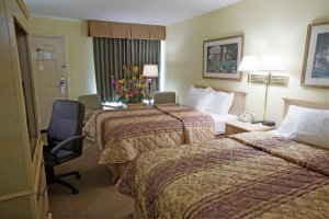 Super 8 Gulfport , MS 39503 near Gulfport-biloxi International Airport View Point 9