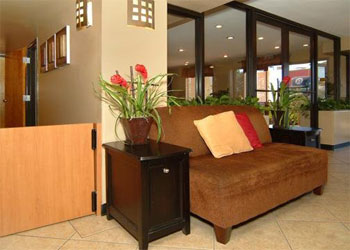 Quality Inn Airport East , TX 79915 near El Paso International Airport View Point 6