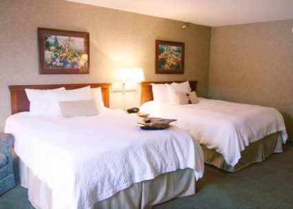 Hampton Inn Detroit/Belleville-Airport Area , Michigan 48111 near Detroit Metropolitan Wayne County Airport View Point 3