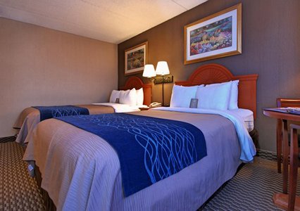 Comfort Inn University , NY 14226 near Buffalo Niagara International Airport View Point 3