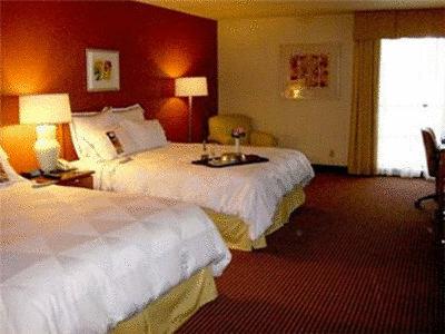 Atrium Hotel And Suites Dfw Airport , TX 75062 near Dallas-fort Worth International Airport View Point 4