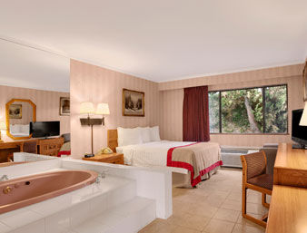 Ramada Inn Torrance , Ca 90505 near Los Angeles International Airport View Point 3