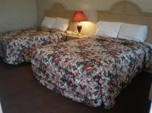 Country Hearth Inn & Suites Atlantic City , NJ 08205 near Atlantic City International Airport View Point 2